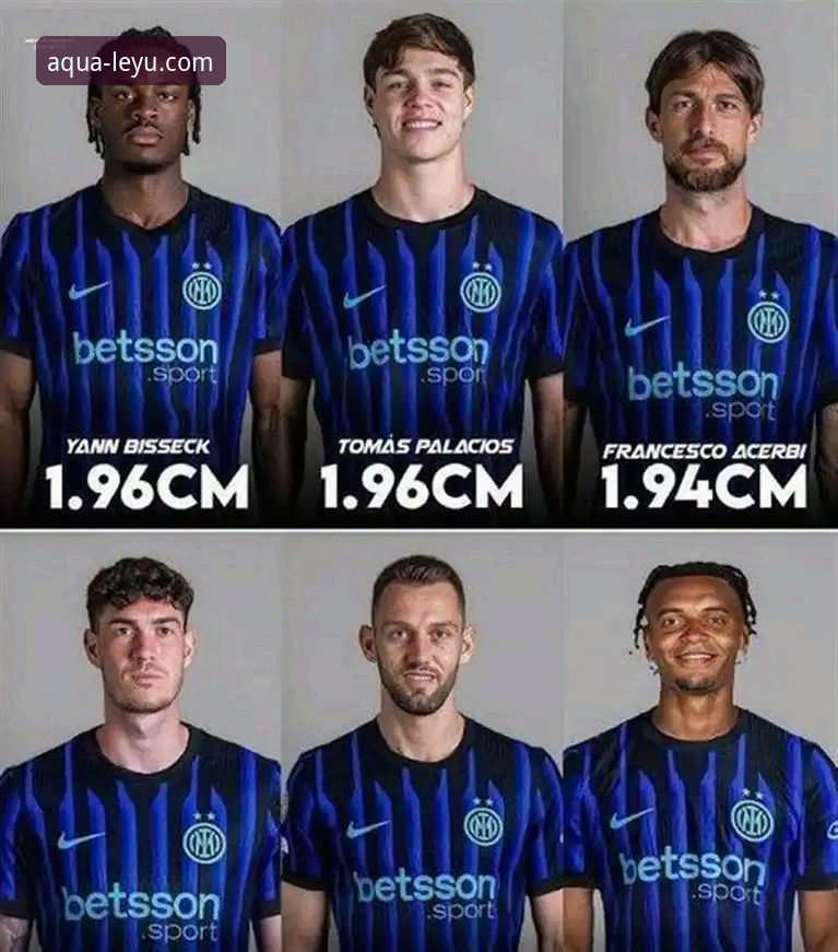 揭秘国米铁卫阿坎吉的处子球之夜：从零封到破门的防守艺术