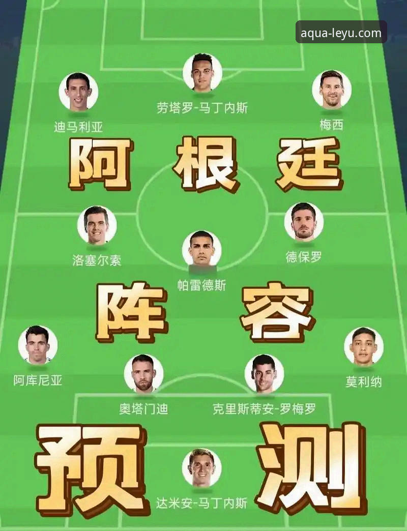 深度解析阿根廷世界杯前折损大将的3个关键影响与球迷应对策略